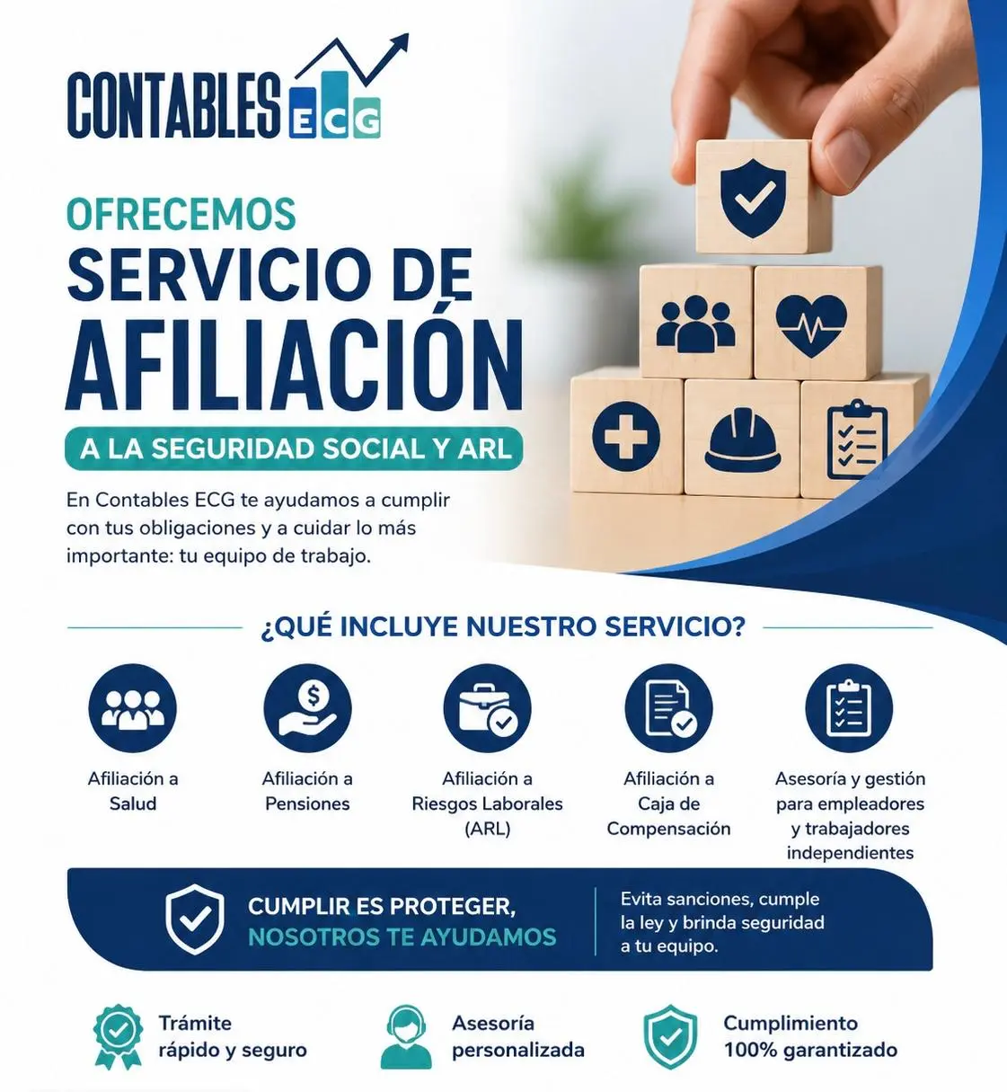 Descripción de la imagen